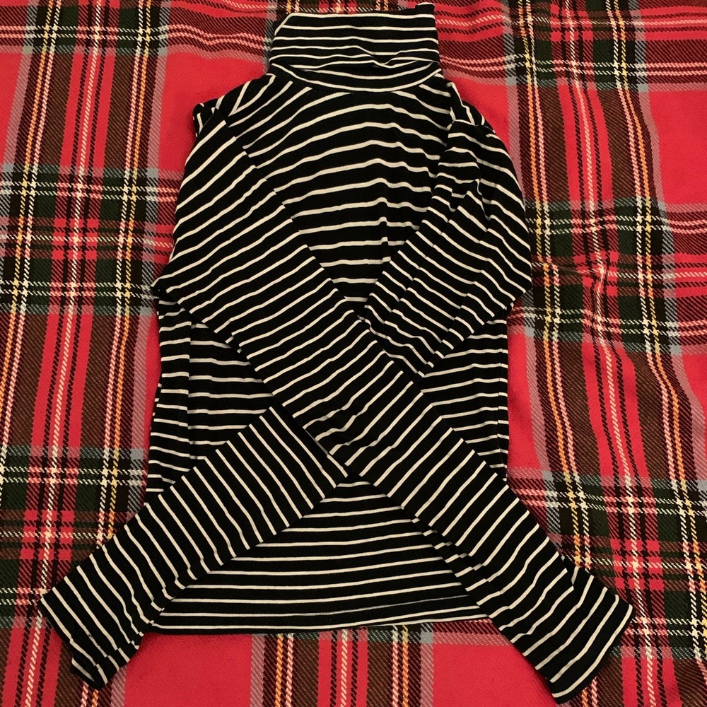 American Apparel striped turtleneck